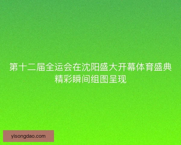 第十二届全运会在沈阳盛大开幕体育盛典精彩瞬间组图呈现