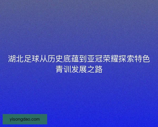 湖北足球从历史底蕴到亚冠荣耀探索特色青训发展之路 湖北足球从历史底蕴到亚冠荣耀探索特色青训发展之路