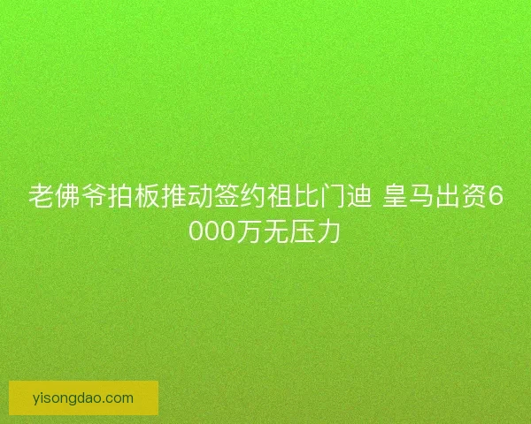 老佛爷拍板推动签约祖比门迪 皇马出资6000万无压力 老佛爷拍板推动签约祖比门迪 皇马出资6000万无压力